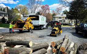 Best Firewood Processing and Delivery  in Willmar, MN